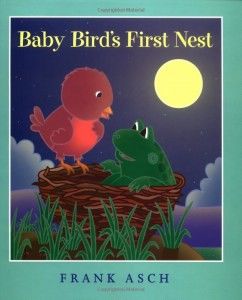 Baby Bird’s First Nest