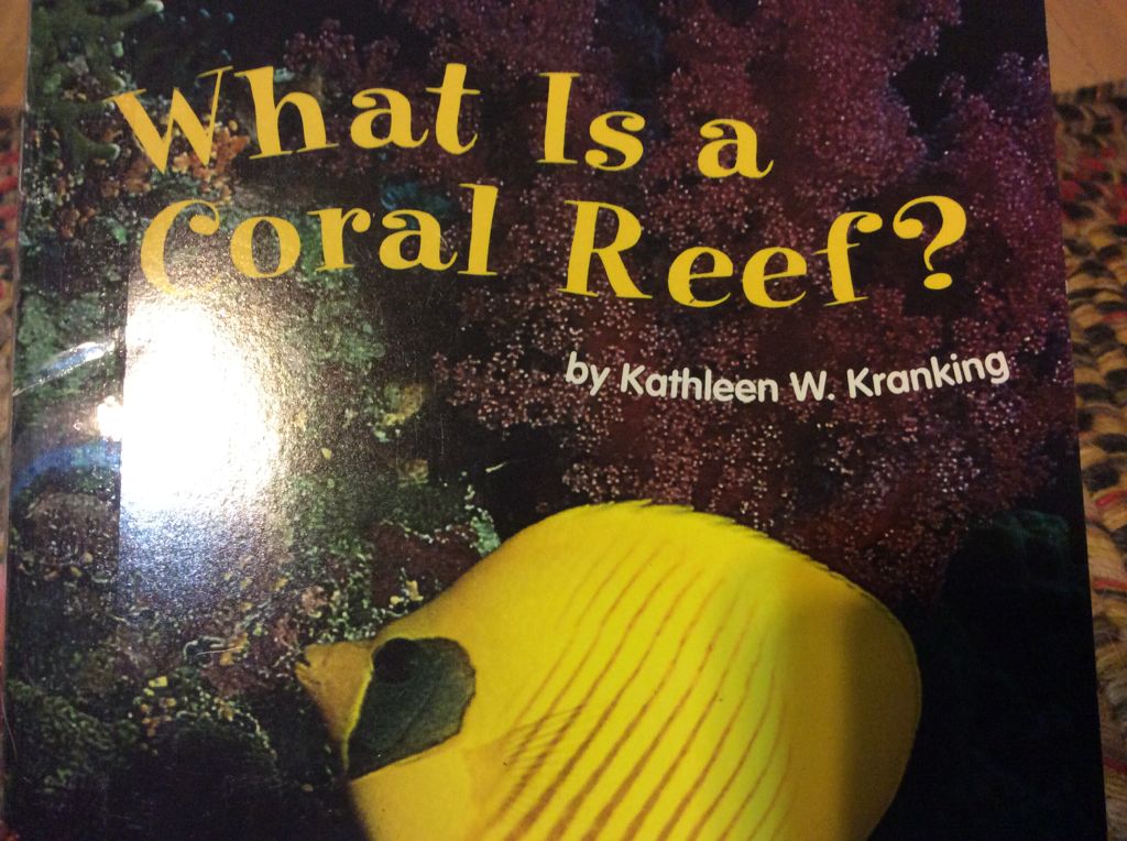 What is a Coral Reef?