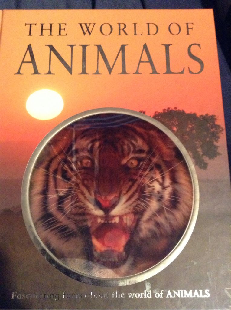 The World of Animals