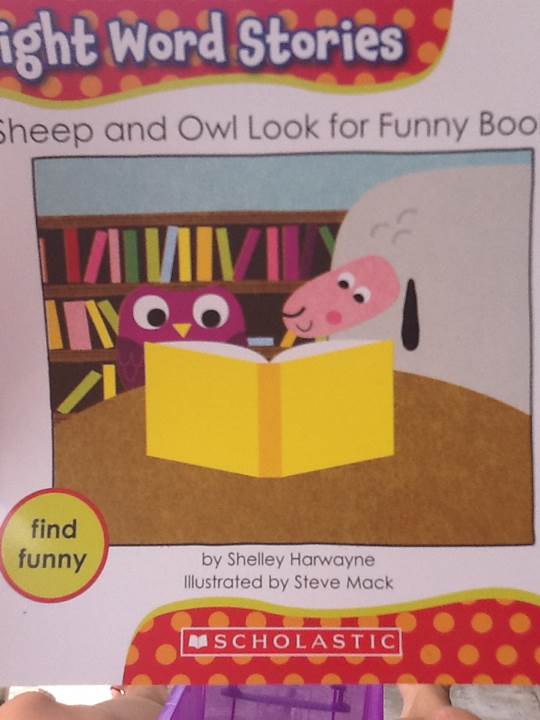 Sight Word Stories: Sheep and Owl Look For Funny Books