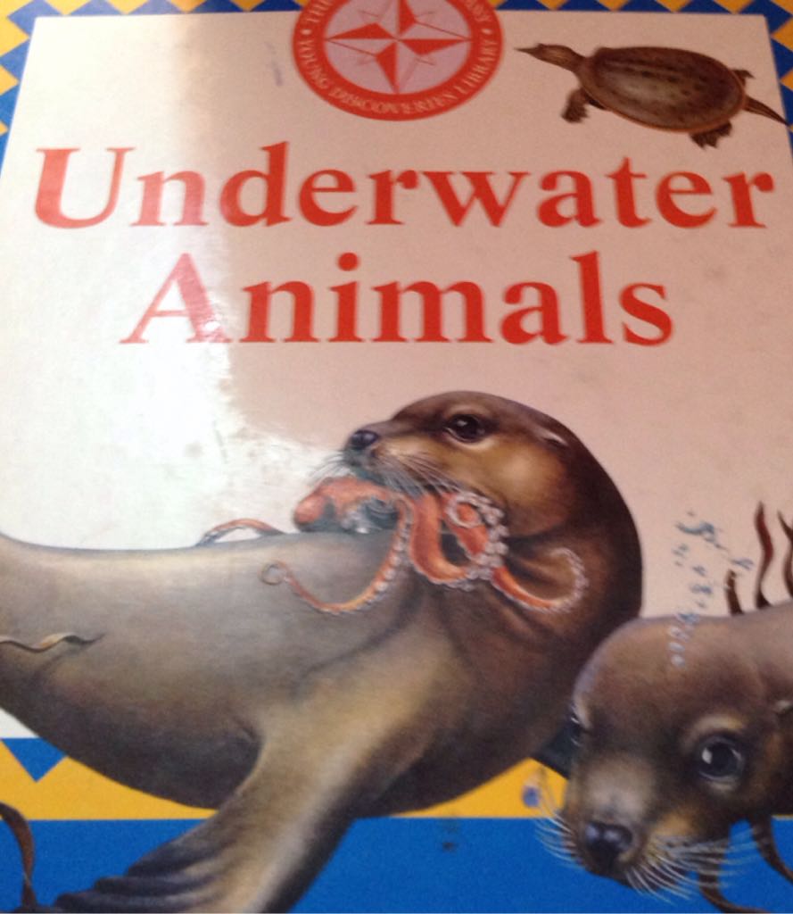 Underwater Animals