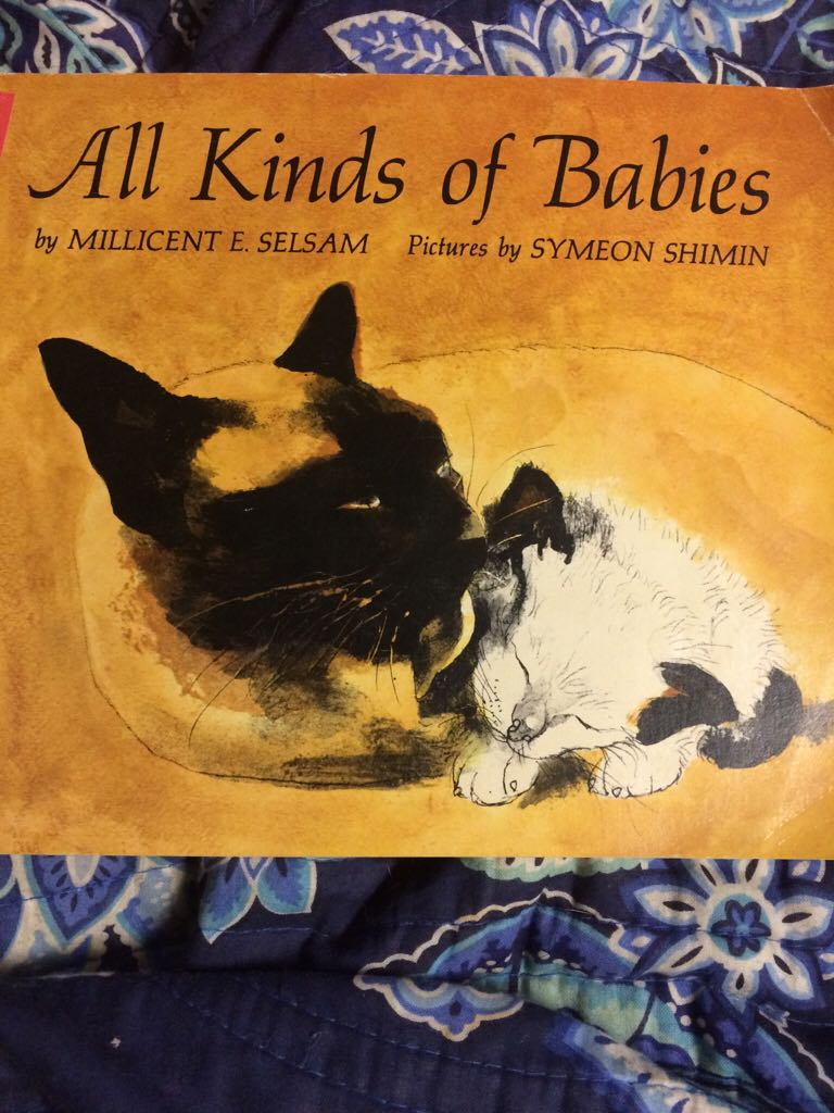 All Kinds Of Babies