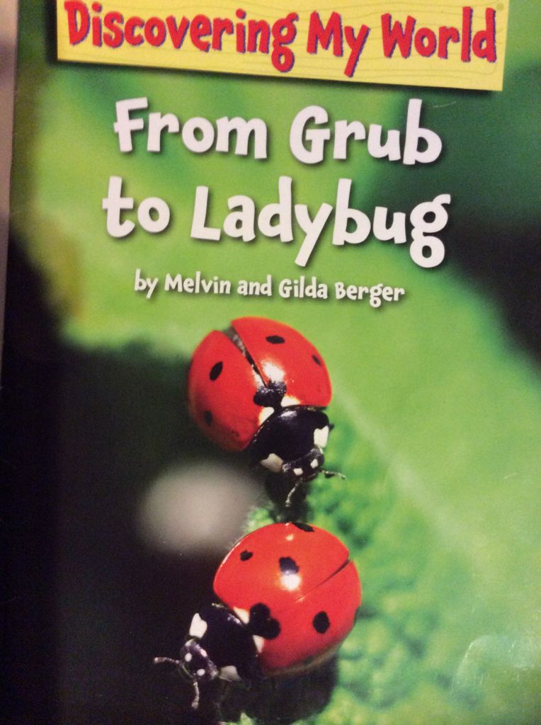 From Grub To Ladybug - Melvin And Gilda Berger book collectible [Barcode 9780545244541] - Main Image 1
