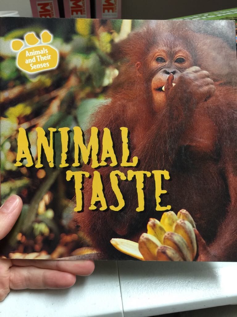 Animal Taste - Kirsten Hall book collectible [Barcode 9780836874952] - Main Image 1