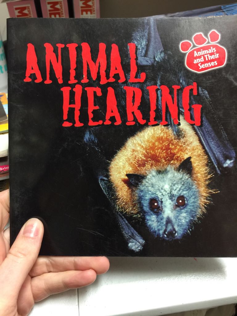 Animal Hearing (Animals and Their Senses) - Hall (Gareth Stevens Publishing) book collectible [Barcode 9780836874921] - Main Image 1
