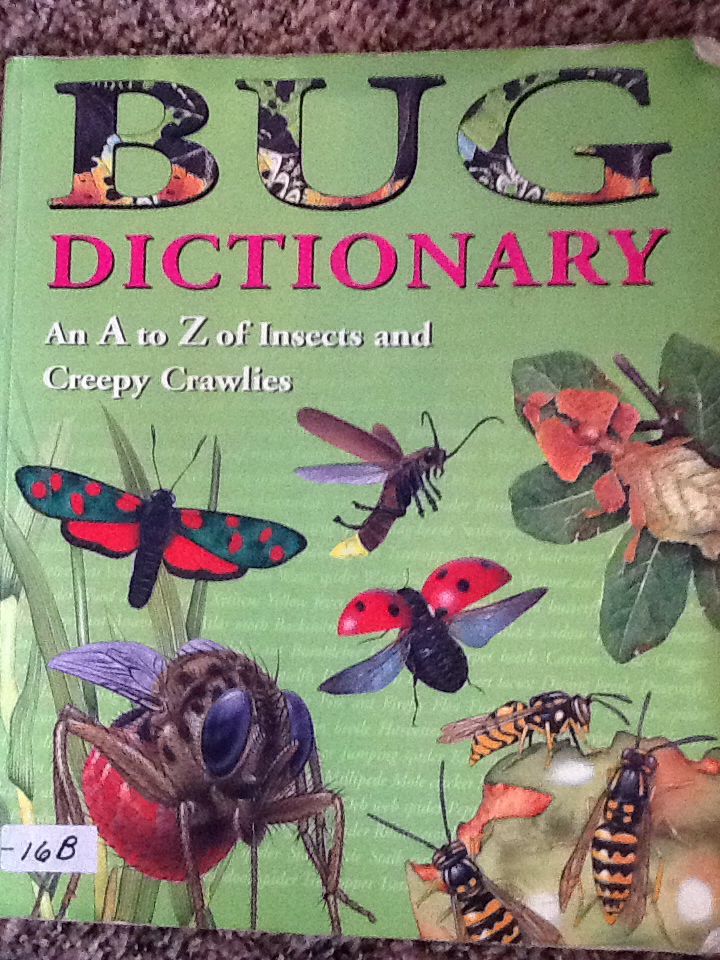 Bug Dictionary - Jill Bailey book collectible [Barcode 9780439368599] - Main Image 1
