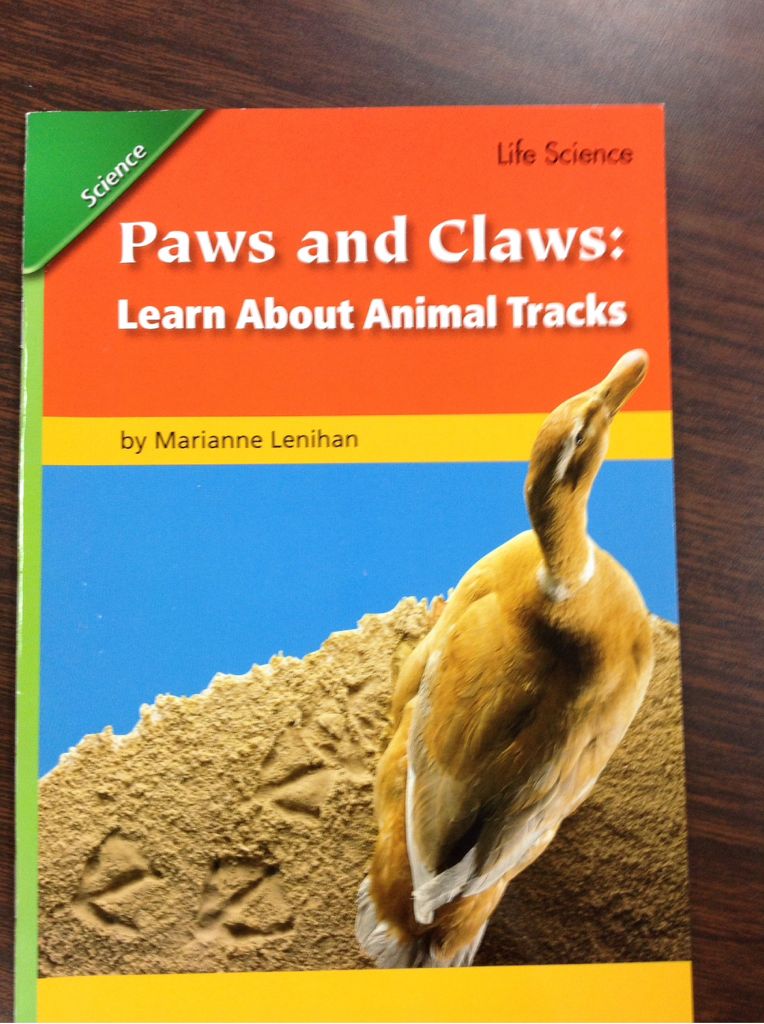 Paws And Claws: Learn About Animal Tracks