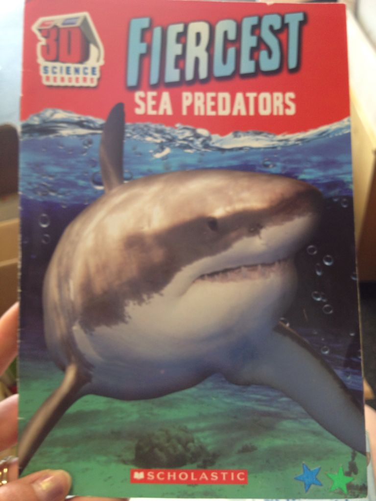 Fiercest Sea Predators