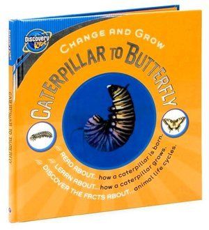 Change And Grow: Caterpillar To Butterfly