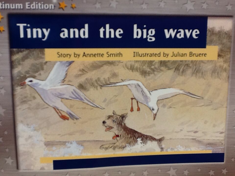 Tiny and the Big Wave