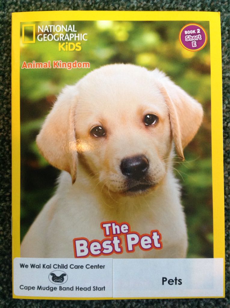 The Best Pet