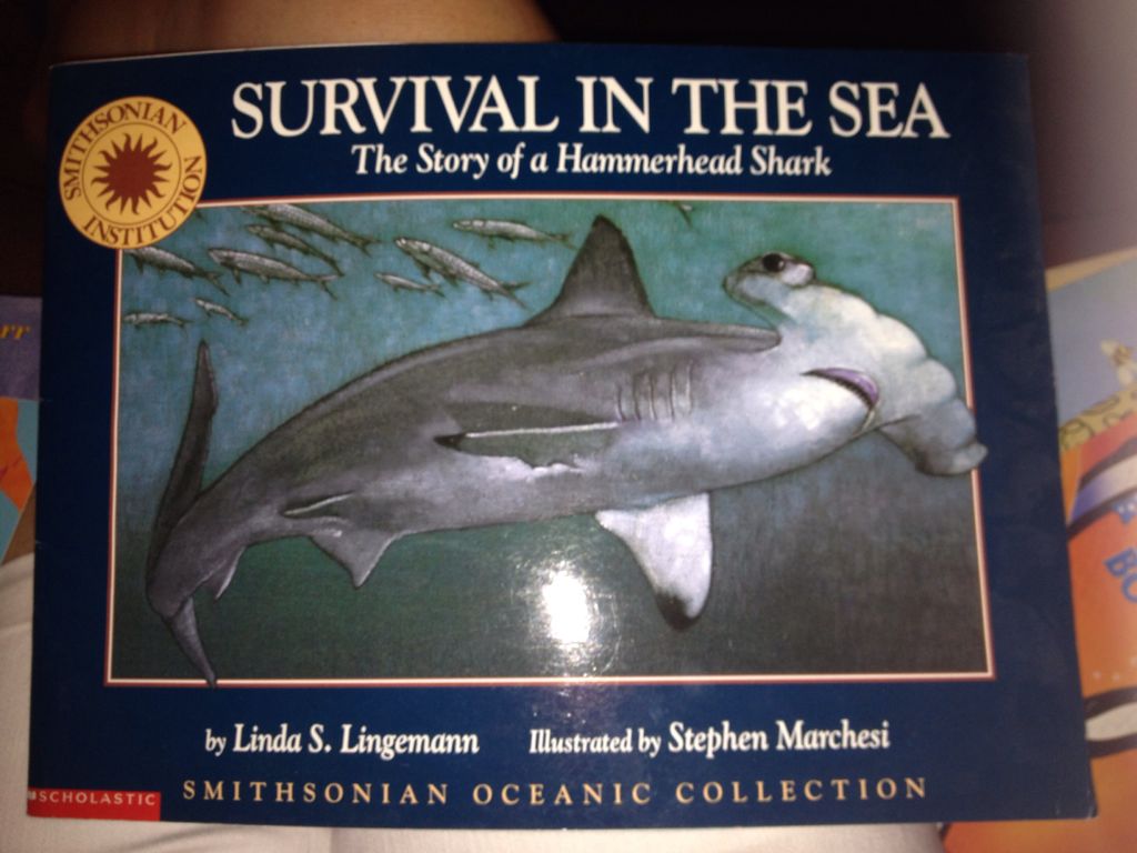 Survival in the Sea