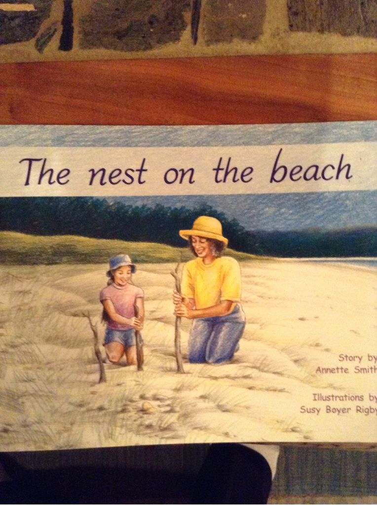 The Nest on the Beach