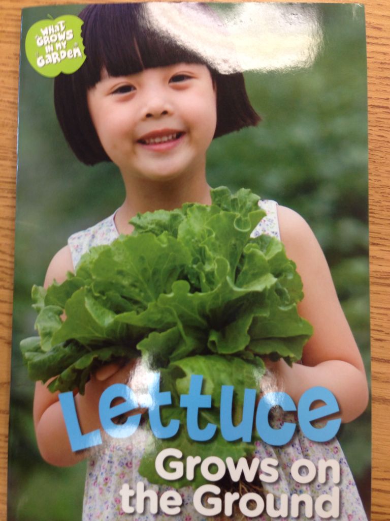 What Grows In My Garden