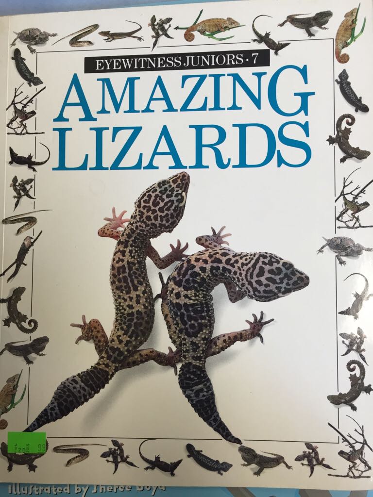 Amazing Lizards