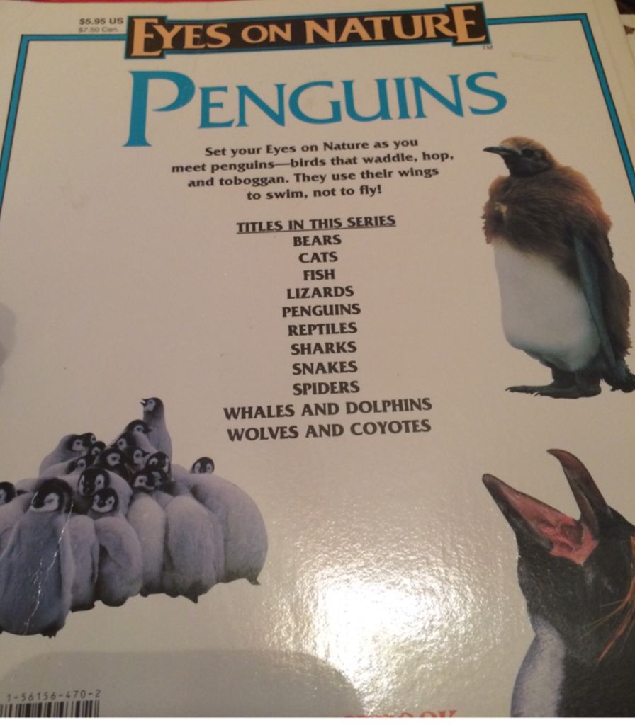 Eyes On Nature: Penguins - Jane P. Resnick (A Scholastic Press - Paperback) book collectible [Barcode 9781561564705] - Main Image 2
