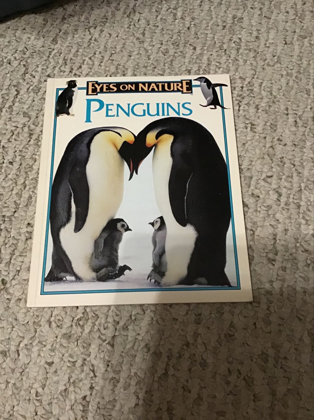 Eyes On Nature: Penguins - Jane P. Resnick (A Scholastic Press - Paperback) book collectible [Barcode 9781561564705] - Main Image 3