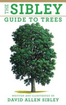 The Sibley Guide to Trees - Allen Sibley (Alfred A. Knopf, Inc.) book collectible [Barcode 9780375415197] - Main Image 1