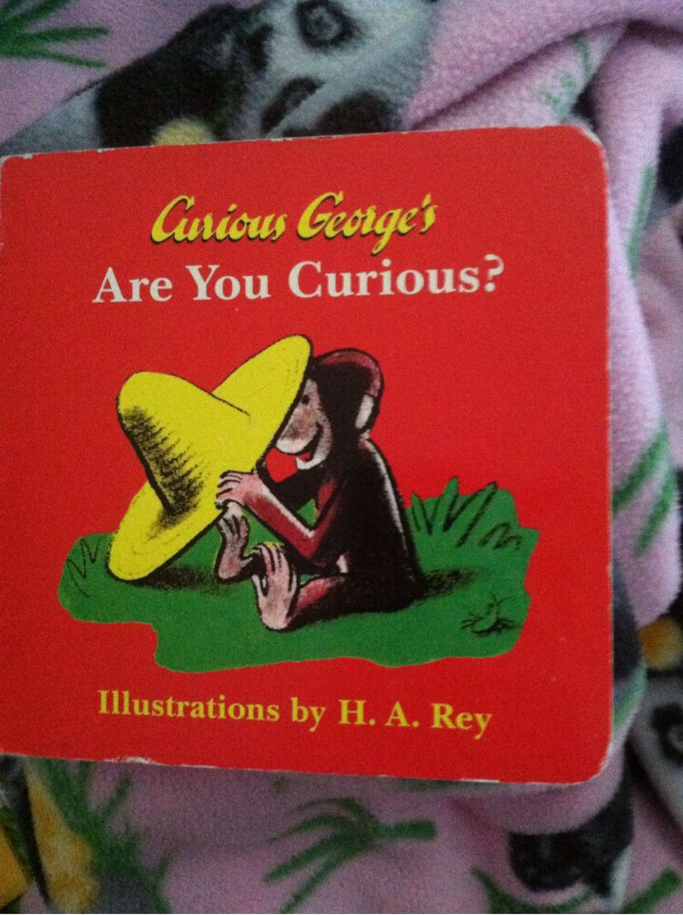 Curious George’s Are You Curious