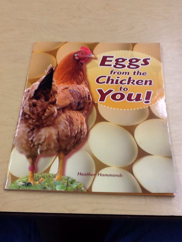 Eggs from Chicken to You!