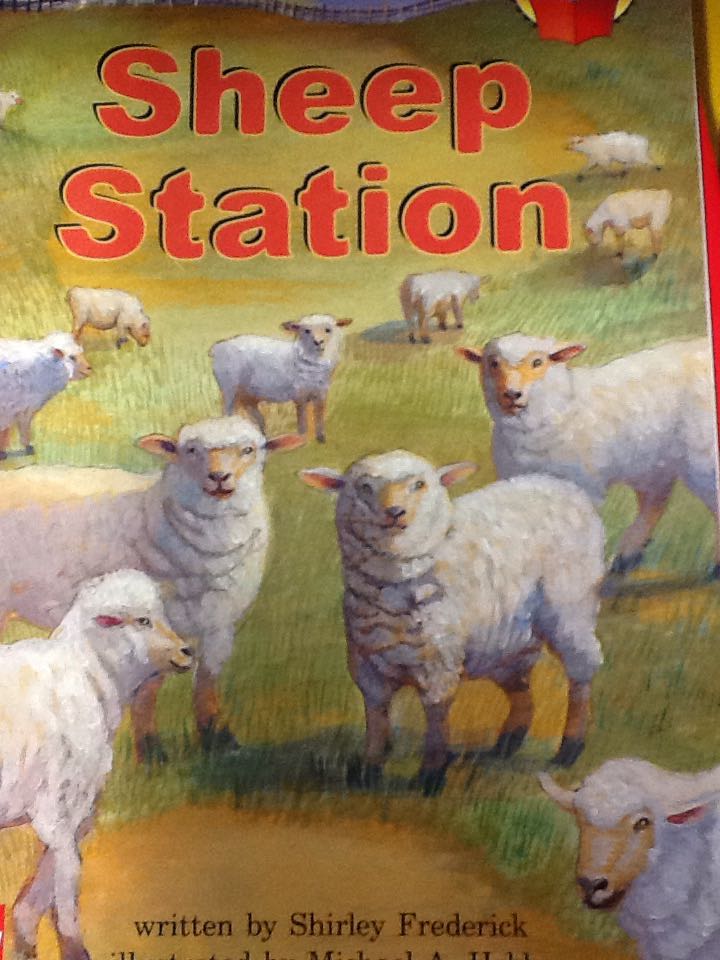 Sheep Station - Shirley Frederick book collectible [Barcode 9780021850723] - Main Image 1