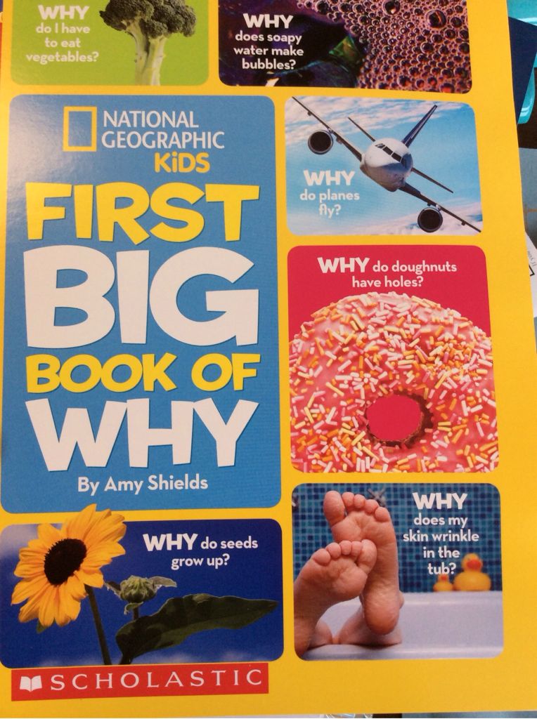 First Big Book of why