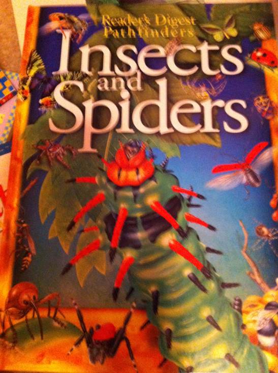 Reader’s Digest Pathfinders: Insects And Spiders