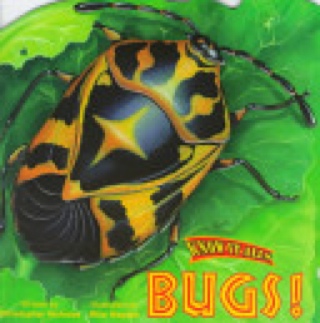 Know-It-Alls: Bugs!