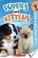 Puppies And Kittens