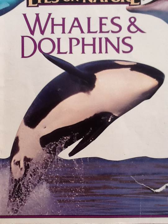 Eyes On Nature: Whales & dolphins - Anton Ericson (Kidsbooks, Inc. - Paperback) book collectible [Barcode 9781561562268] - Main Image 1
