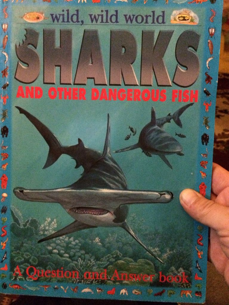 Wild, Wild World Sharks And Other Dangerous Fish