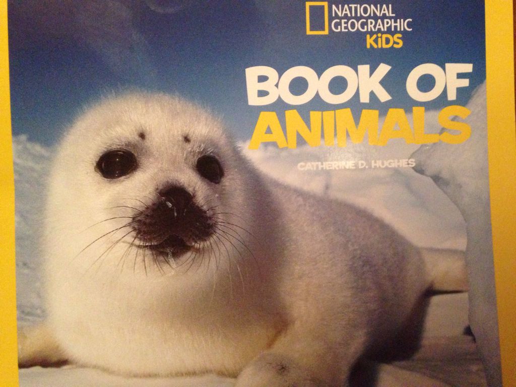 Book Of Animals