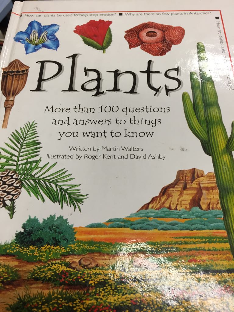 Plants : more than 100 questions and answers to things you want to know - Martin Walters (- Hardcover) book collectible [Barcode 9781840844108] - Main Image 1