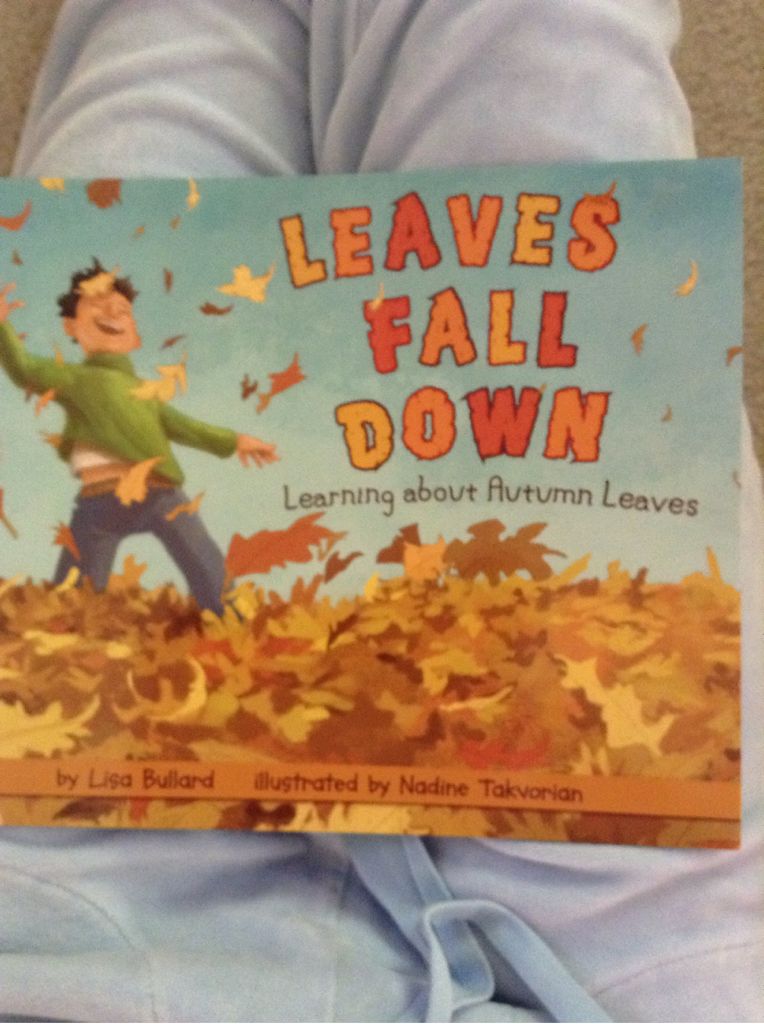 Leaves Fall Down