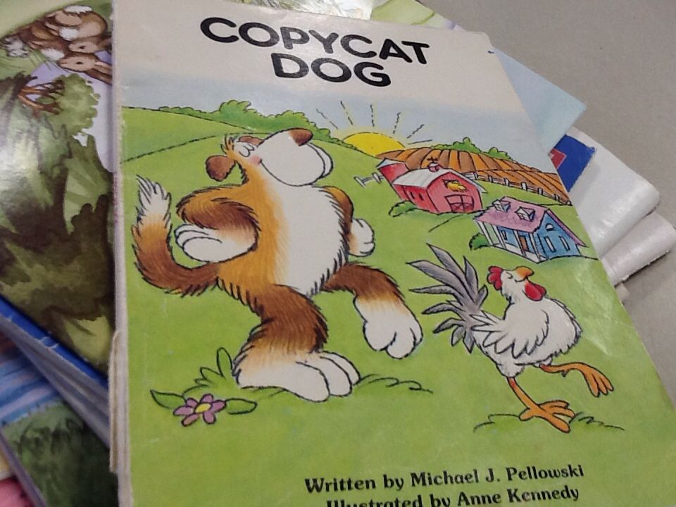 Copycat dog