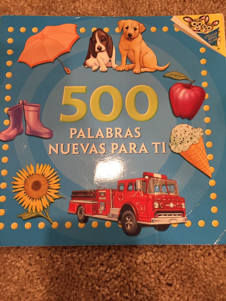 500 Palabras Nuevas Para Ti