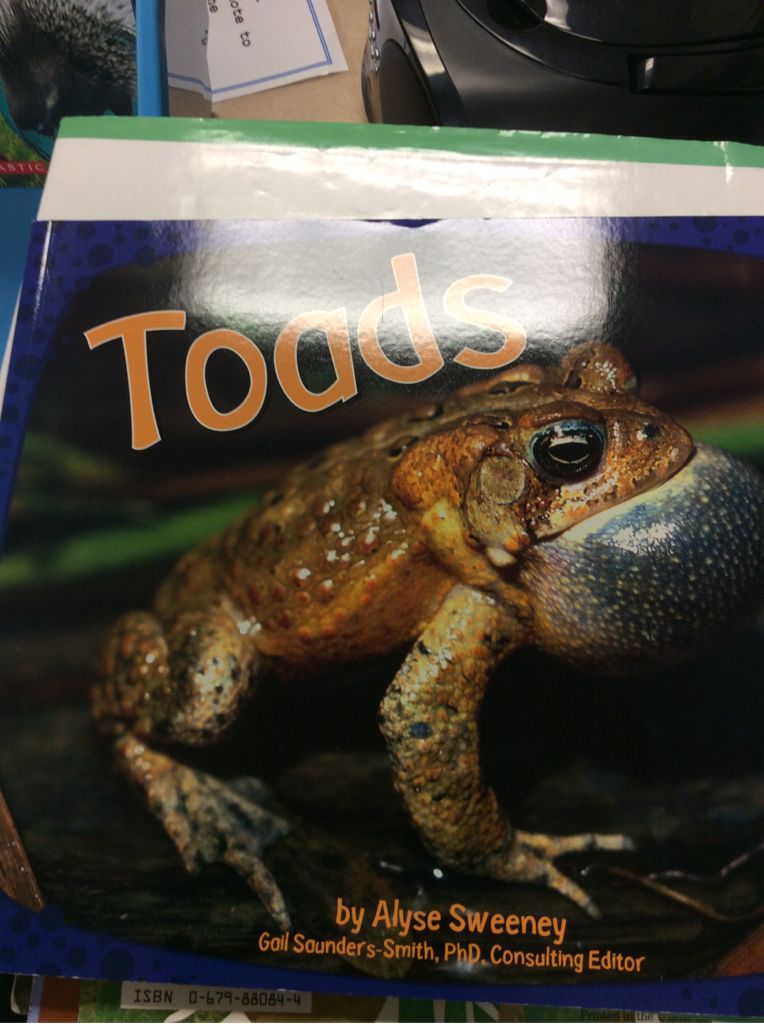 Toads