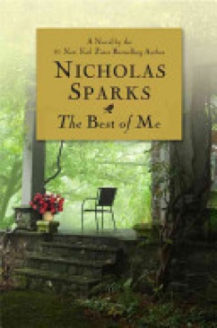 Best Of Me, The