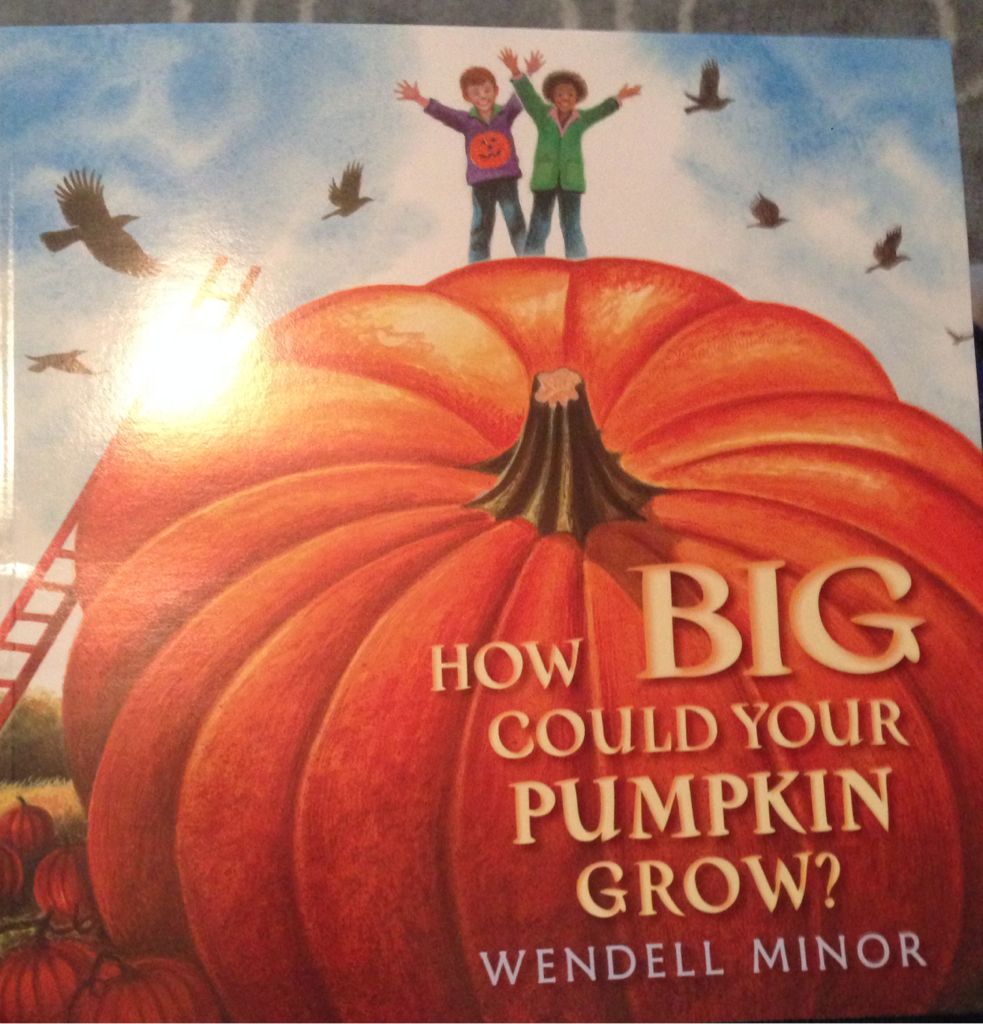 How BIG Could Your Pumpkin Grow?