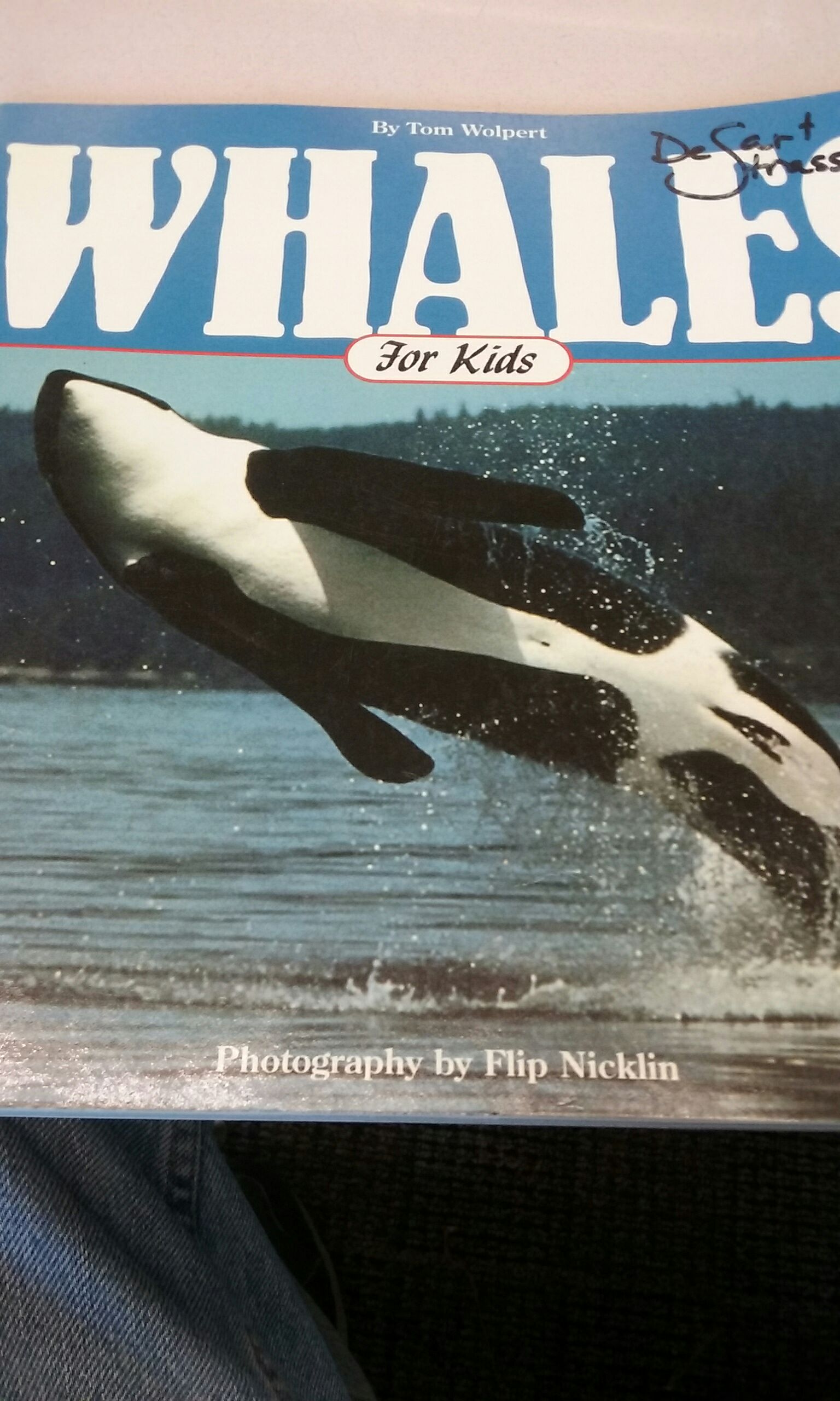 Whales for Kids