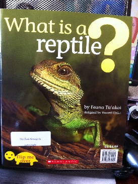What Is A Reptile/ What Is An Amphibian
