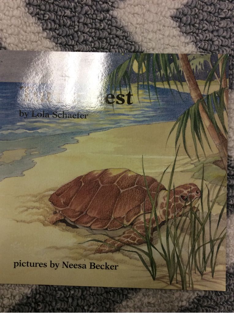 Turtle Nest