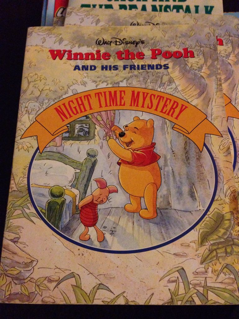 Winnie The Pooh And His Friends: Night Time Mystery