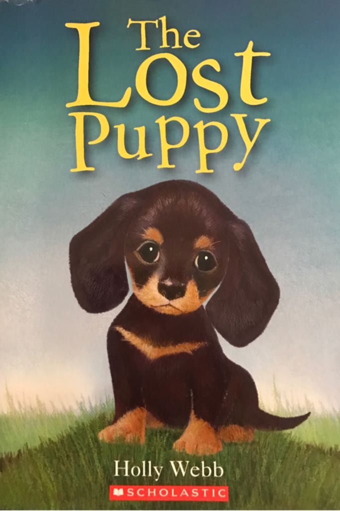 The Lost Puppy