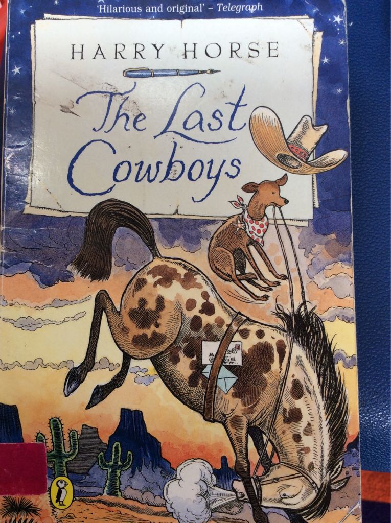The last cowboys