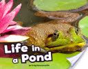 Life in a Pond