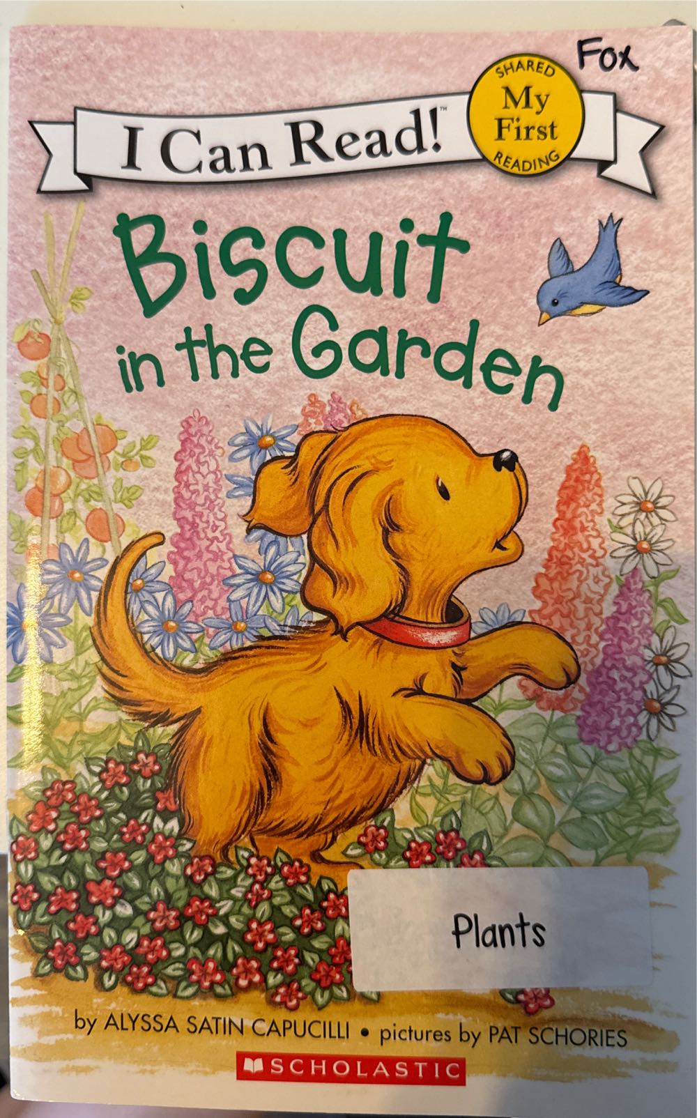 Biscuit In The Garden - Alyssa Satin Capuculli (Scholastic - Paperback) book collectible [Barcode 9780545695749] - Main Image 2