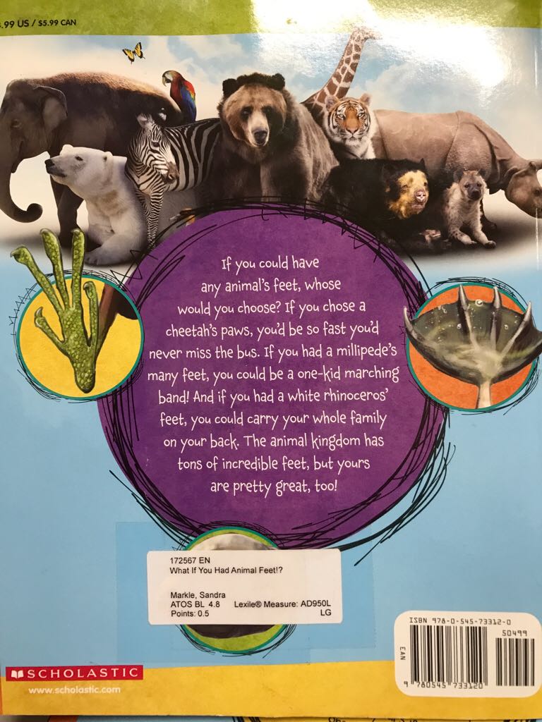 What If You Had Animal Feet? - Sandra Markle (Scholastic Paperbacks - Paperback) book collectible [Barcode 9780545733120] - Main Image 2