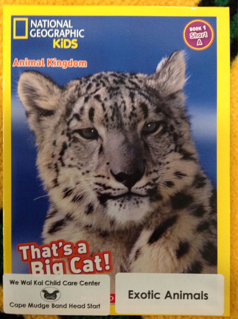 That’s A Big Cat