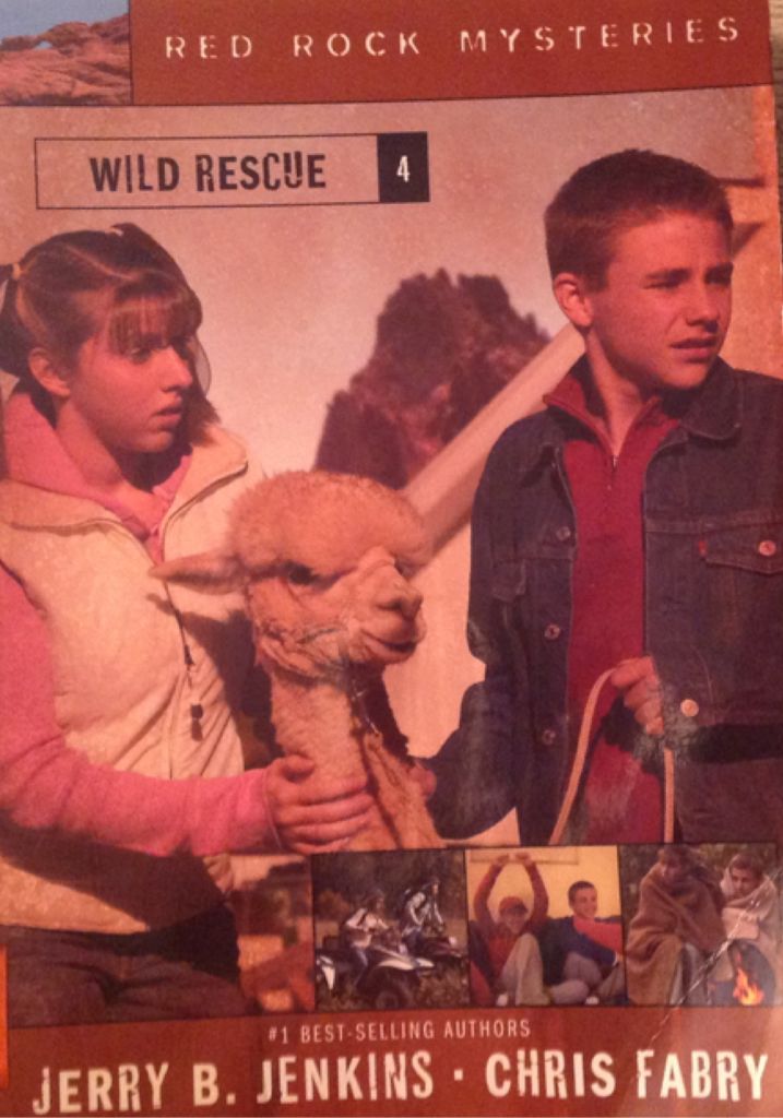 Red Rock Mysteries 4: Wild Rescue